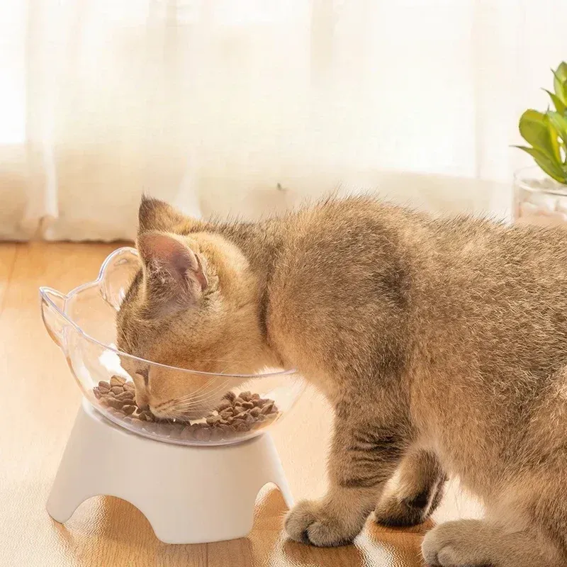 Yükseltilmiş Kedi Mama ve Su Kabı Kedi Figürlü
