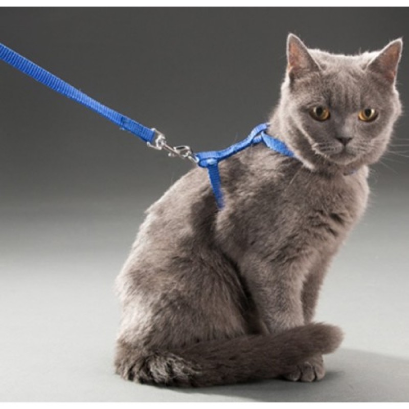 Kedi Göğüs Tasması ve Gezdirme İpi Seti – Kedi Gezdirme Tasması