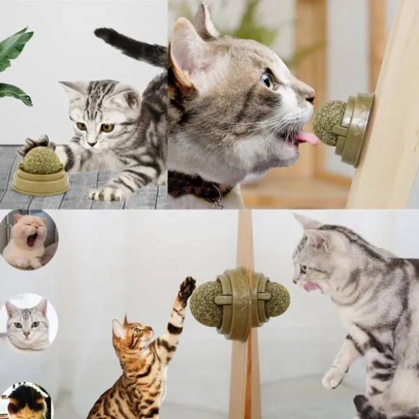 Kedi Yalama Topu – Duvara Yapışan Döner Kedi Oyuncağı