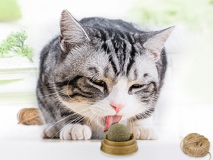 Kedi Nanesi Topu Catnip – Standlı Kedi Otu Yalama ve Oyun Topu