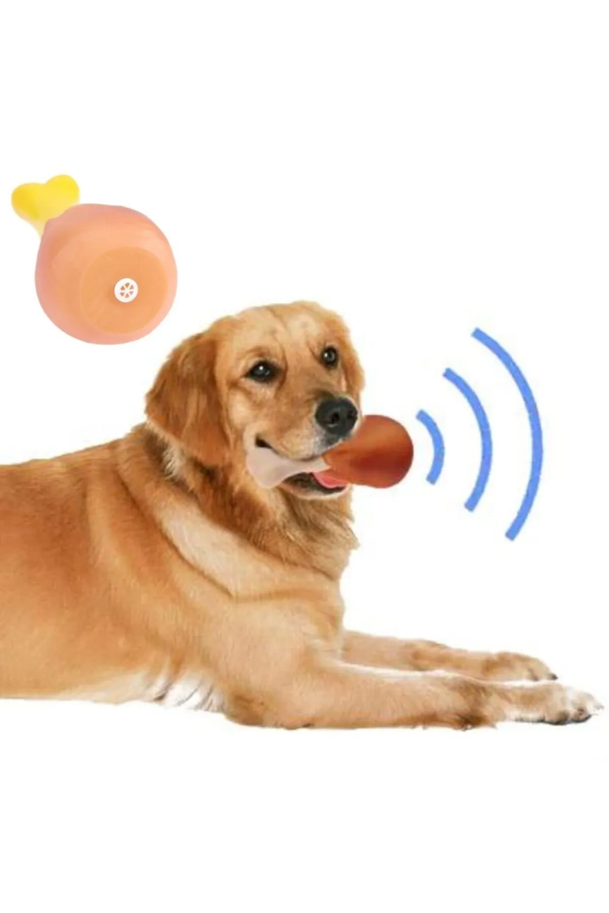 Sesli Tavuk Budu Köpek Oyuncağı – Isırma ve Çiğneme Oyuncağı
