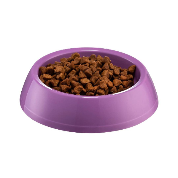 Büyük Boy Plastik Kedi Köpek Mama ve Su Kabı