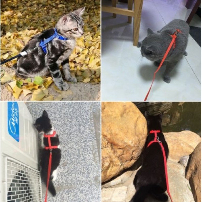 Kedi Göğüs Tasması ve Gezdirme İpi Seti – Kedi Gezdirme Tasması 5