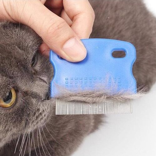 Kedi Köpek İçin Bit Pire Tarağı 2