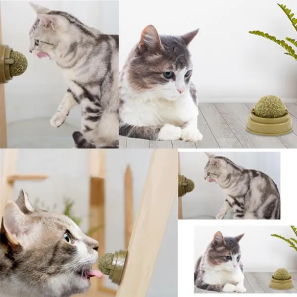 Kedi Yalama Topu – Duvara Yapışan Döner Kedi Oyuncağı 2