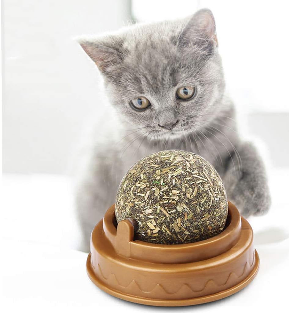 Kedi Yalama Topu – Duvara Yapışan Döner Kedi Oyuncağı 4