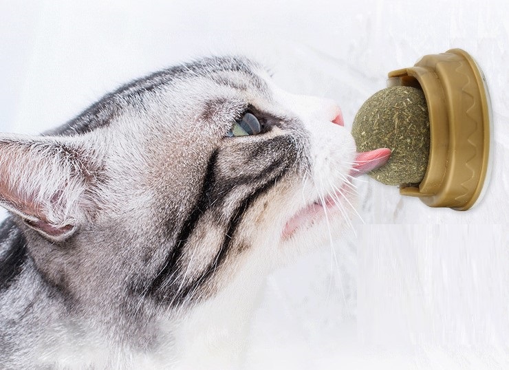 Kedi Nanesi Topu Catnip – Standlı Kedi Otu Yalama ve Oyun Topu 2