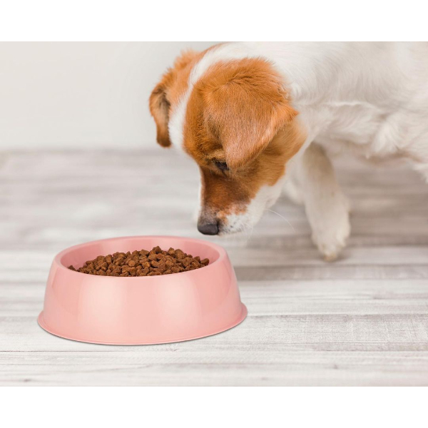 Plastik Kedi Köpek Mama ve Su Kabı 2