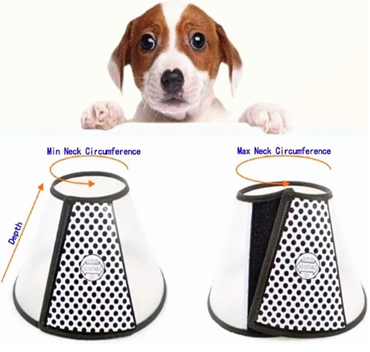 Kedi Köpek Koruyucu Elizabeth Yakalığı – Ayarlanabilir Pet Koruma Boyunluğu - 6 Numara 5
